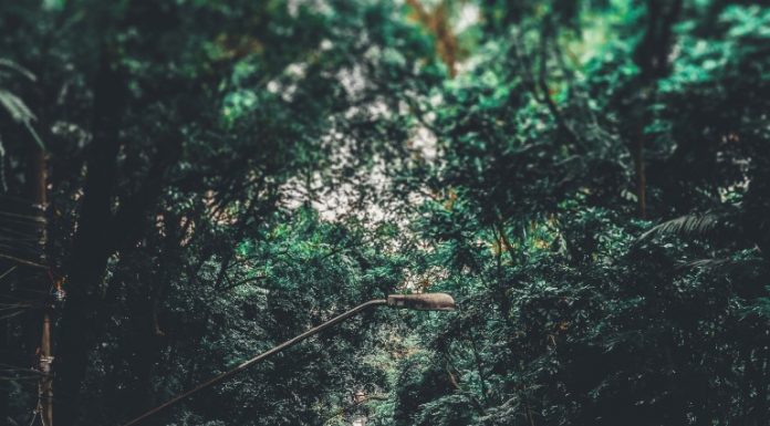 רכישת ביטוח רכב - מה כדאי לבדוק לפני שמבצעים החלטה?