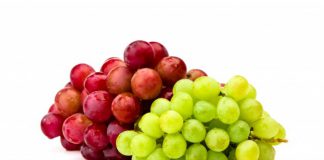 סקירה של סוגי ענבים בישראל