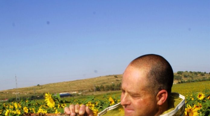 מועצת הדבש: לקראת חג החנוכה חג האור תמכו בתוצרת הארץ בקנייה ישירה של דבש מדבוראי ישראל במכוורות או במשלוחים