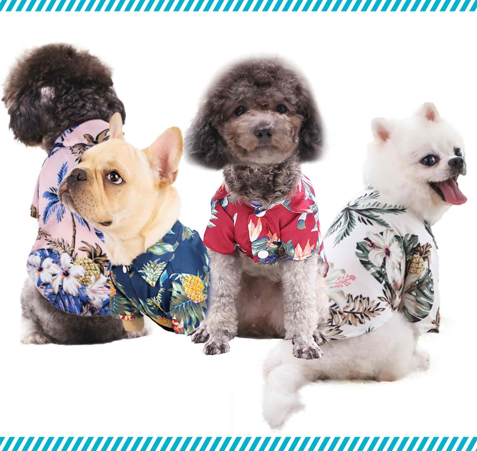 am:pm מציגה: Hot:Dog ליין חולצות מכופתרות לכלבים